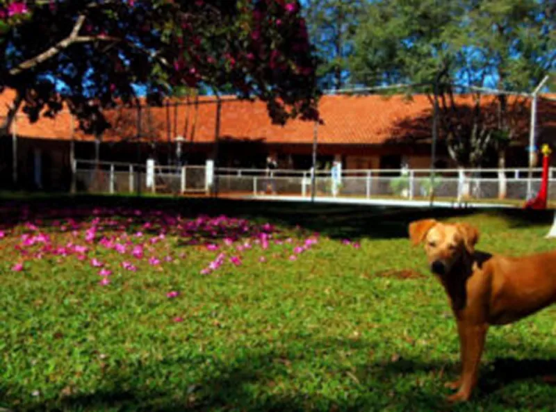 Ilustração ddo ambiente da Prover