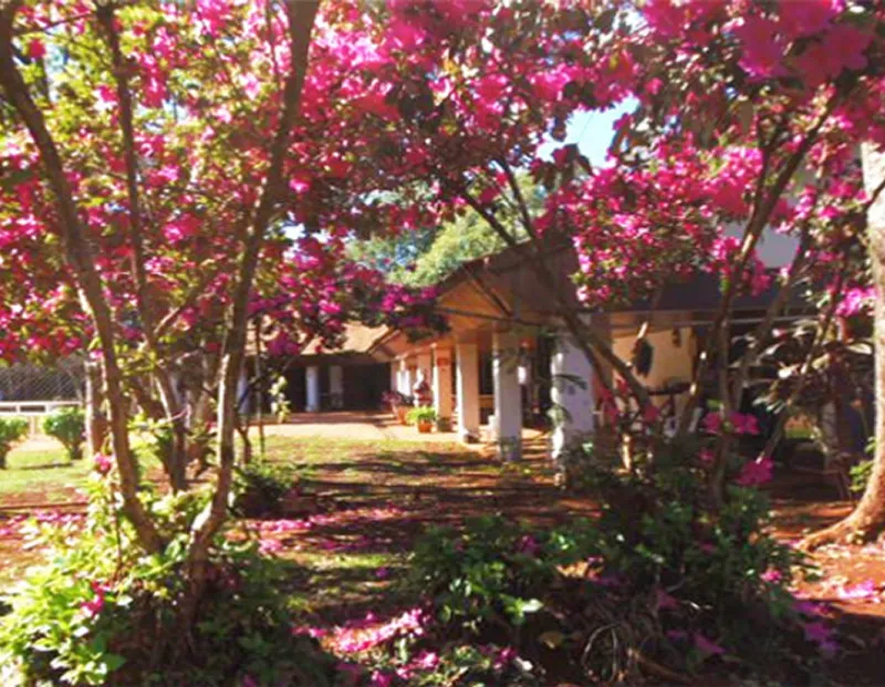 Ilustração ddo ambiente da Prover