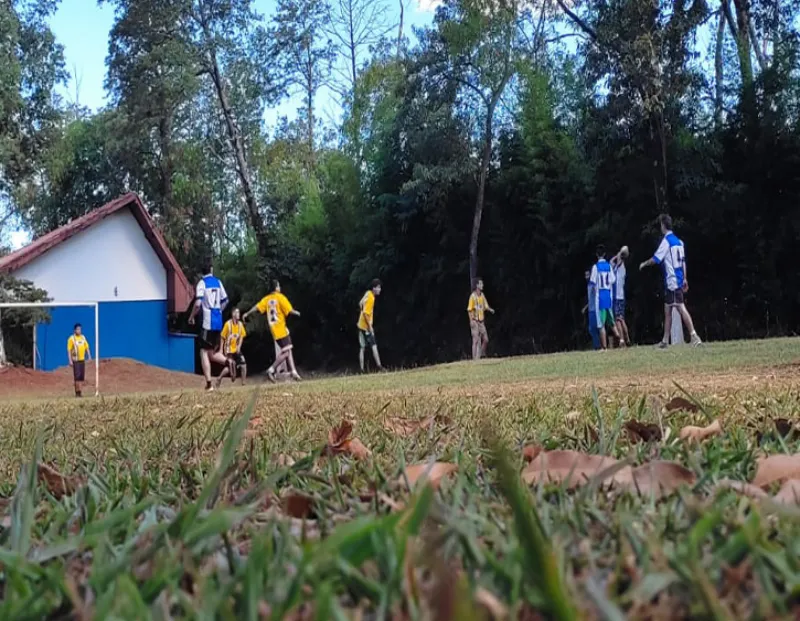 Ilustração ddo ambiente da Prover