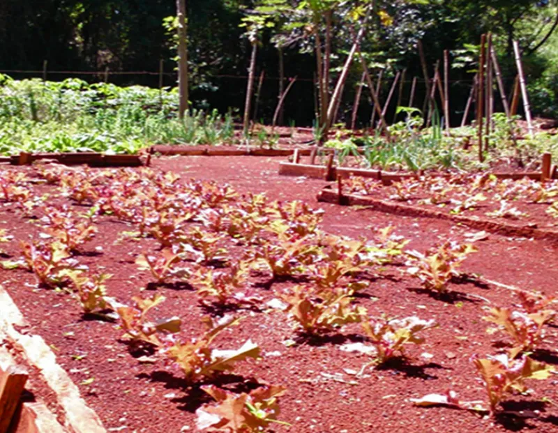 Ilustração ddo ambiente da Prover